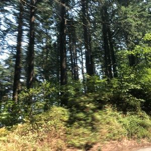 Meet your Posher, Militza